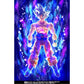 Bandai S.H.Figuarts Dragon Ball Super Ultra Instinct Goku Toyotarou Special